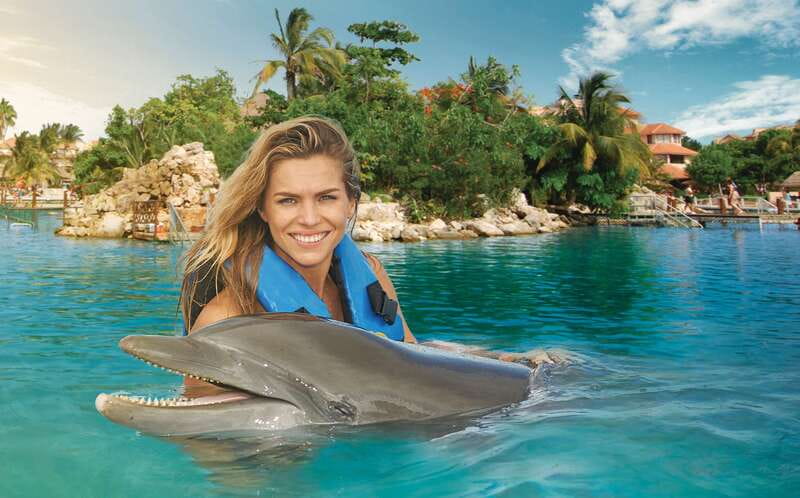Puerto Aventuras: Dolphin Swim, Sea Lions, Manatees, & Lunch - Key points to know before you book