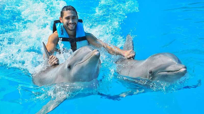 Puerto Aventuras: Dolphin Swim, Sea Lions, Manatees, & Lunch - Puerto Aventuras Marina, Riviera Maya: what makes this setting work