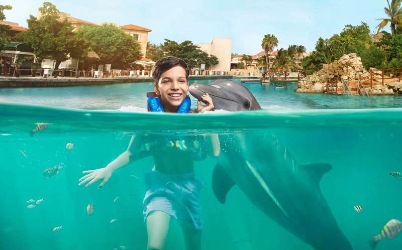 Puerto Aventuras: Dolphin Swim, Sea Lions, Manatees, & Lunch - 60 minutes of Royal Swim Plus with dolphins: pacing, hand target, and playtime