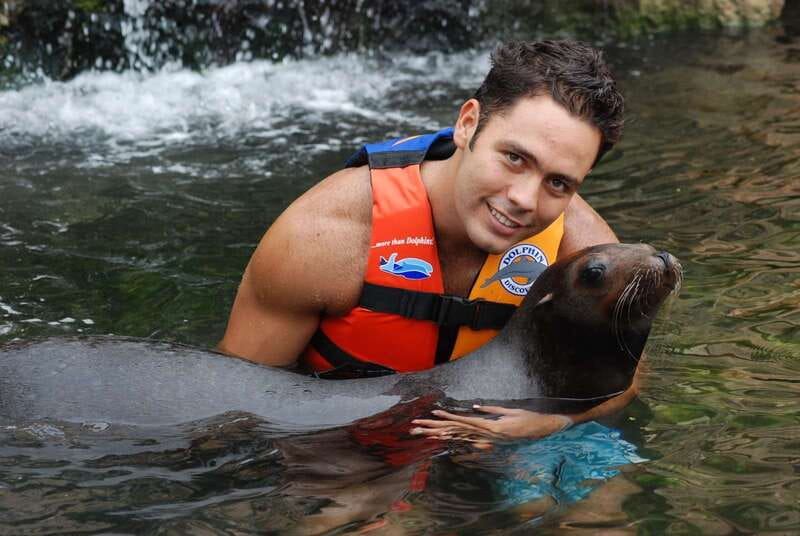 Puerto Aventuras: Dolphin Swim, Sea Lions, Manatees, & Lunch - Price and value: what $135 covers, and what it does not