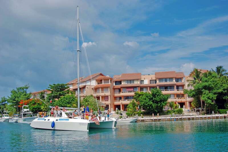 Puerto Aventuras: Dolphin Swim, Sea Lions, Manatees, & Lunch - Expectations and ethics: how to think about time limits and rules