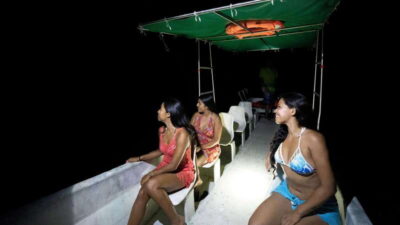 Bioluminescence Night Spectacle