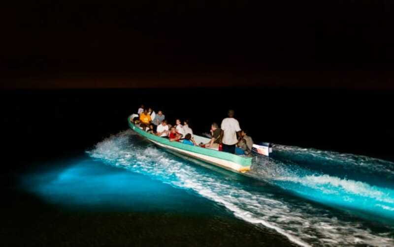 Puerto Escondido: Bioluminescence Night Spectacle - Moon Phase Rules: When You Might Not See the Show