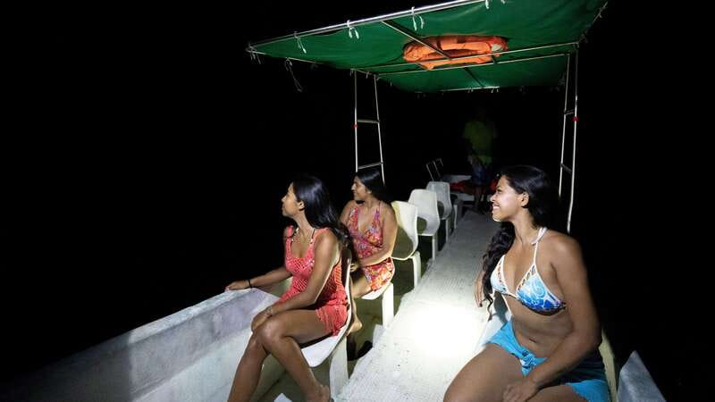 Puerto Escondido: Bioluminescence Night Spectacle - Getting Picked Up in Puerto Escondido After Sunset
