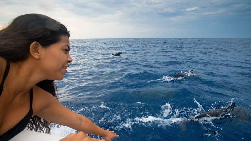 Puerto Escondido: Boat Tour among Dolphins and Turtles - Boarding the boat: what the morning start sets you up for