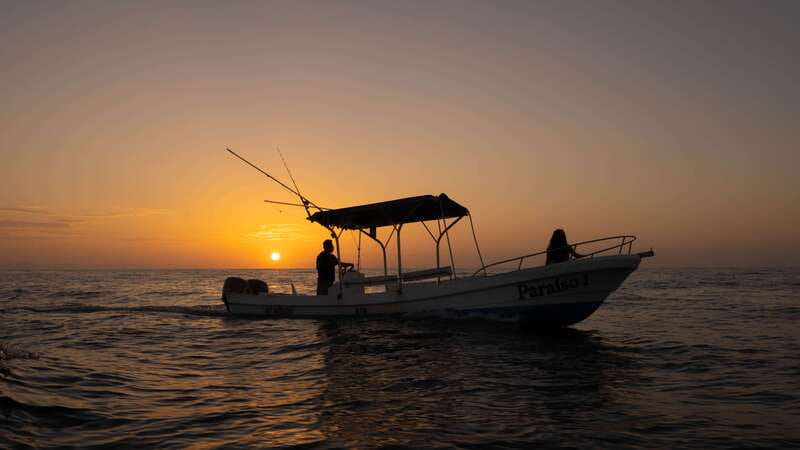 Puerto Escondido: Boat Tour among Dolphins and Turtles - Getting from your hotel to the dock, without stress