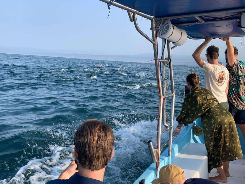 Puerto Escondido: Boat Tour to see Dolphins and Marine Life - Key highlights I’d mark on my map