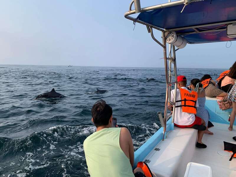Puerto Escondido: Boat Tour to see Dolphins and Marine Life - Who should book this tour, and who should skip it