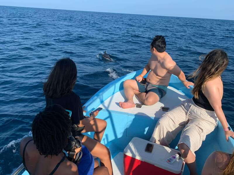 Puerto Escondido: Boat Tour to see Dolphins and Marine Life - Reef snorkeling and colorful fish: short, sweet, and weather-dependent
