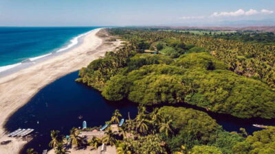 Oaxaca Coast Wildlife Ecotour
