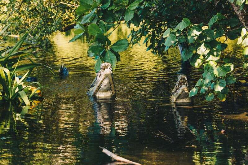 Puerto Escondido: Oaxaca Coast Wildlife Ecotour - How the 8-hour schedule really feels