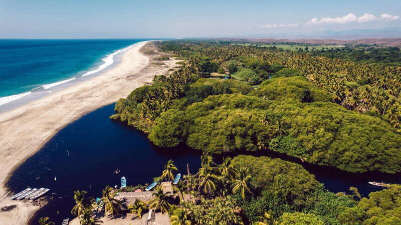 Puerto Escondido: Oaxaca Coast Wildlife Ecotour - La Ventanilla ecological park: wildlife-focused nature time
