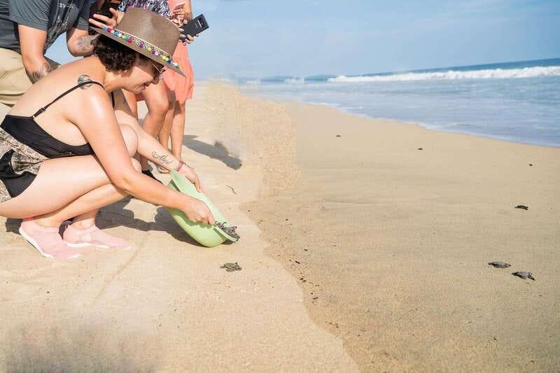Puerto Escondido: Turtle Release Experience - From Hotel Pickup to Turtle Camp: the real timing you should expect