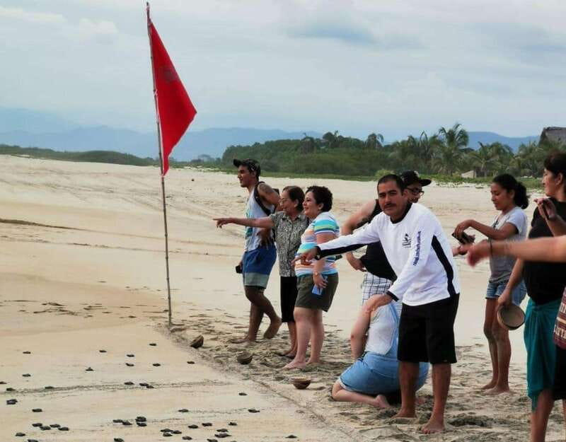 Puerto Escondido: Turtle Release Experience - What to bring and what the turtle rules forbid