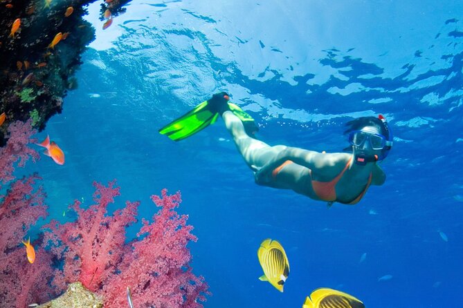 Puerto Morelos Catamaran Reef Sail and Snorkel - Why this catamaran reef sail feels worth your time