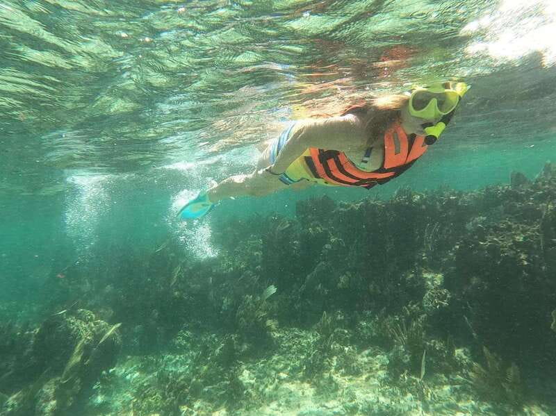 Puerto Morelos: Guided Snorkeling Tour with Gear & Fees - Key highlights you’ll care about