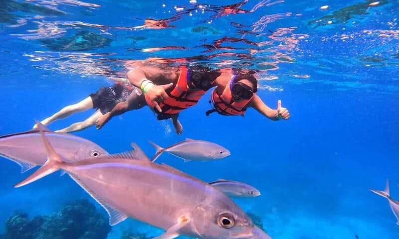 Puerto Morelos: Guided Snorkeling Tour with Gear & Fees - Safety briefing and gear fitting, where good guides earn their tip