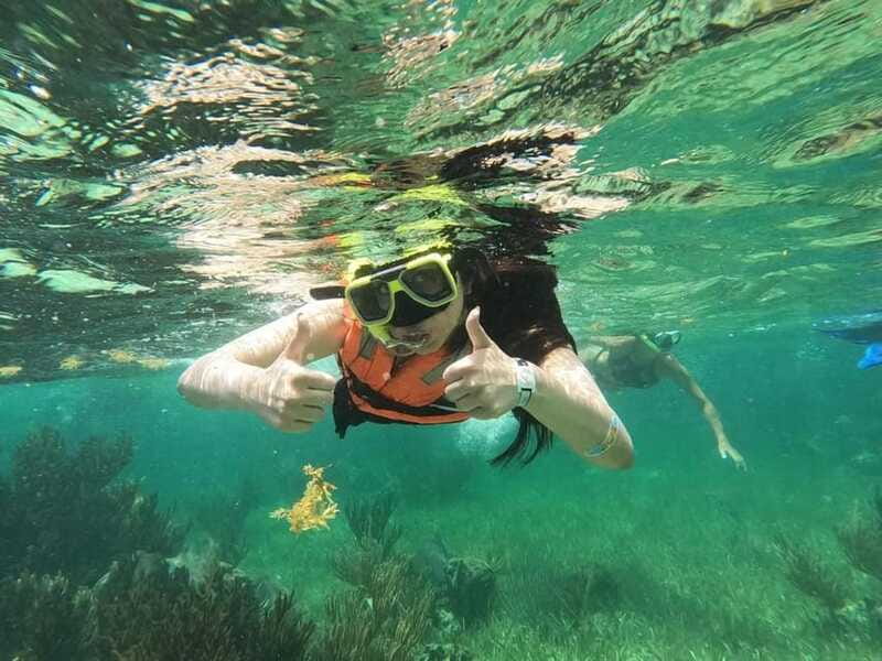 Puerto Morelos: Guided Snorkeling Tour with Gear & Fees - Small-group pace, guide energy, and why it feels personal