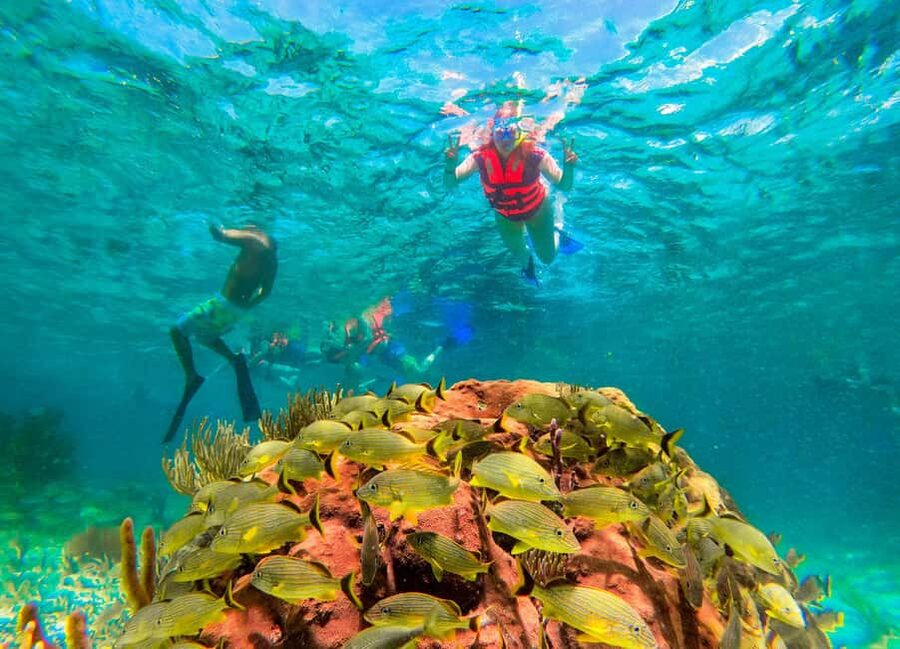 Puerto Morelos: National Reef Park Snorkeling & Beach Lunch - Is It Worth $39? A Real Value Check