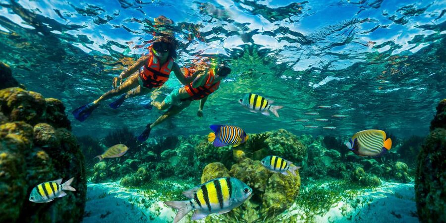 Puerto Morelos: Snorkel, Town Walk, Tequila & Beach Lunch - Puerto Morelos Reef access: why this half-day tour works