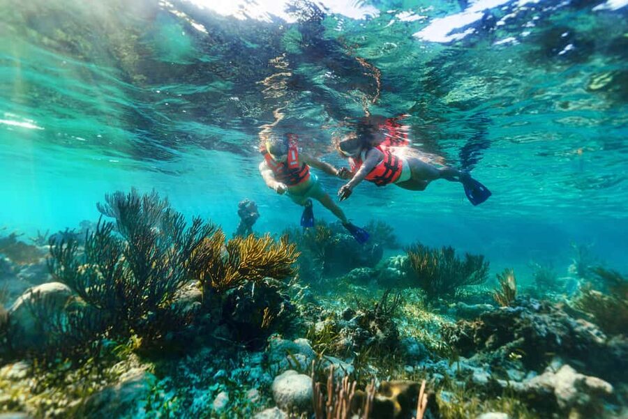 Puerto Morelos: Snorkel, Town Walk, Tequila & Beach Lunch - Snorkel logistics that affect your comfort: gear, lockers, and the reef rules