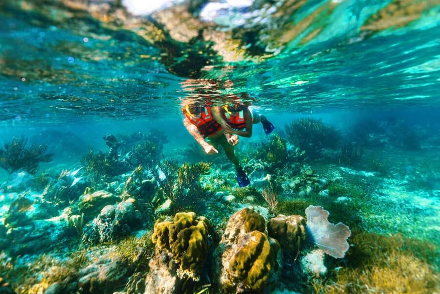 Puerto Morelos: Snorkel, Town Walk, Tequila & Beach Lunch - Puerto Morelos town walk and beach time: what you do with the freedom