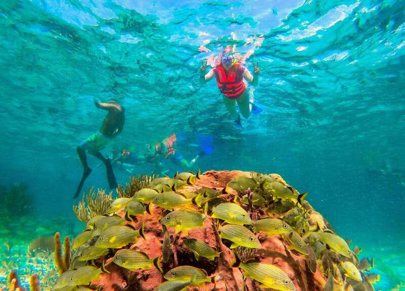 Puerto Morelos: Snorkel, Town Walk, Tequila & Beach Lunch - Tequila tasting: a cultural stop that still feels like a treat
