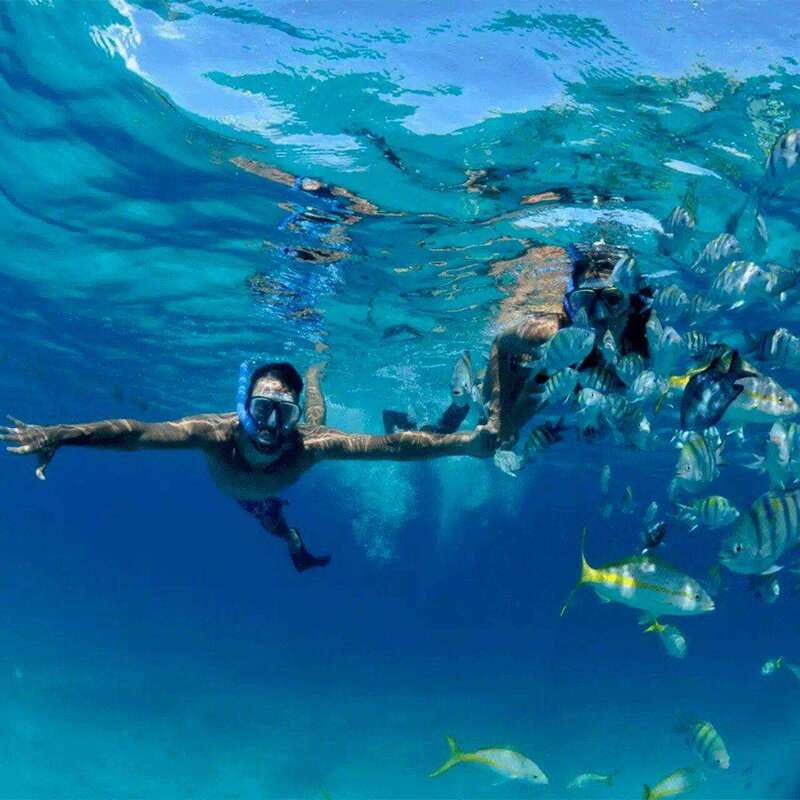 Puerto Morelos: Snorkeling at The National Reef Park - Key things to know before you go