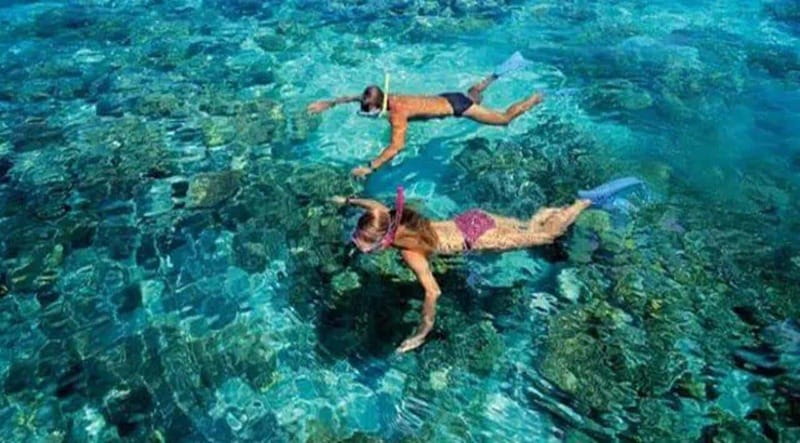 Puerto Morelos: Snorkeling at The National Reef Park - From Crazy Fish Tacos to your snorkeling gear in about 20 minutes