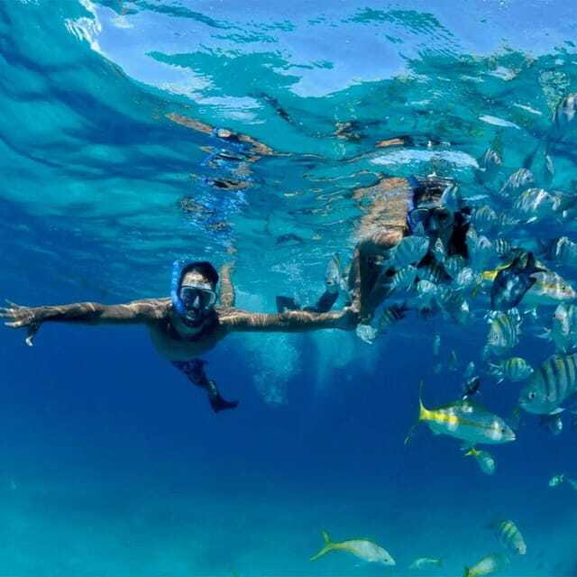 Puerto Morelos: Snorkeling at The National Reef Park - Timing and what to do before and after your 2-hour tour