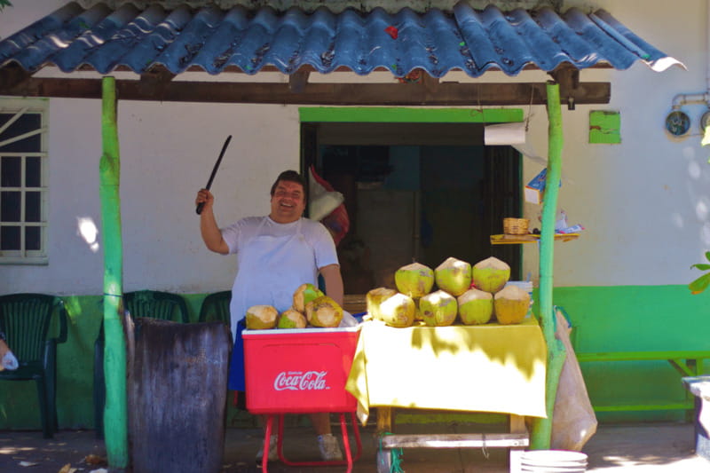 Puerto Vallarta 3-Hour Food Tour of Authentic Local Cuisine - Key points to know before you go