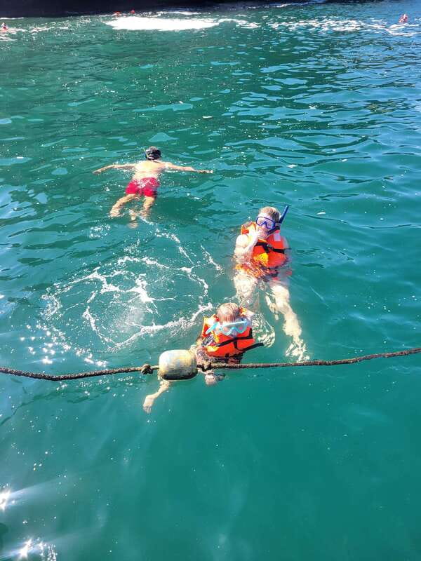Puerto Vallarta: 3-Hour Whale Watching and Snorkeling - What’s included, what isn’t, and why that difference matters
