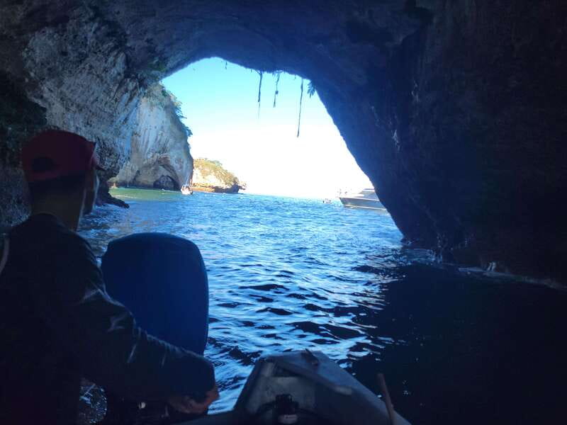 Puerto Vallarta: 3-Hour Whale Watching and Snorkeling - Whale watching on the bay: how spotting usually goes