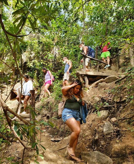 Puerto Vallarta: 4-Hour Jungle Hike and Waterfall Swim - Group Size, Pace, and Why the Guide Changes Everything