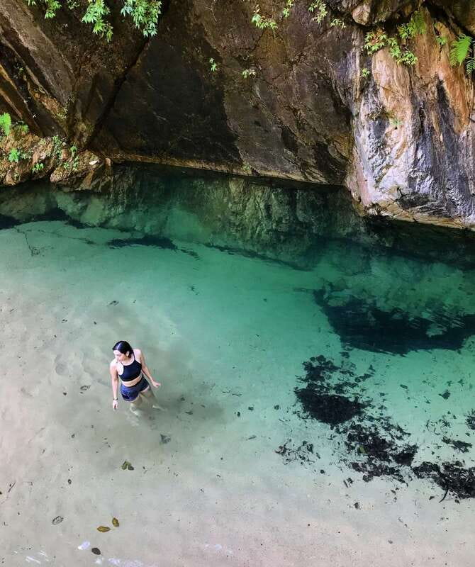 Puerto Vallarta: 4-Hour Jungle Hike and Waterfall Swim - Entering the Tropical Forest: River Crossings and Wildlife Lessons