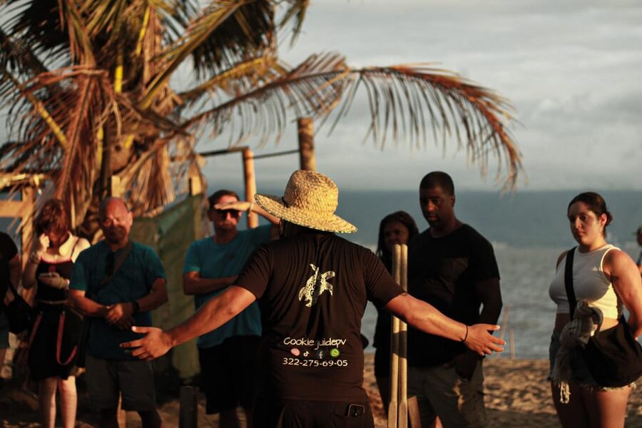 Puerto Vallarta: Baby Turtle Release in Conservation Area - Nest and egg work: what the conservation team does before hatching