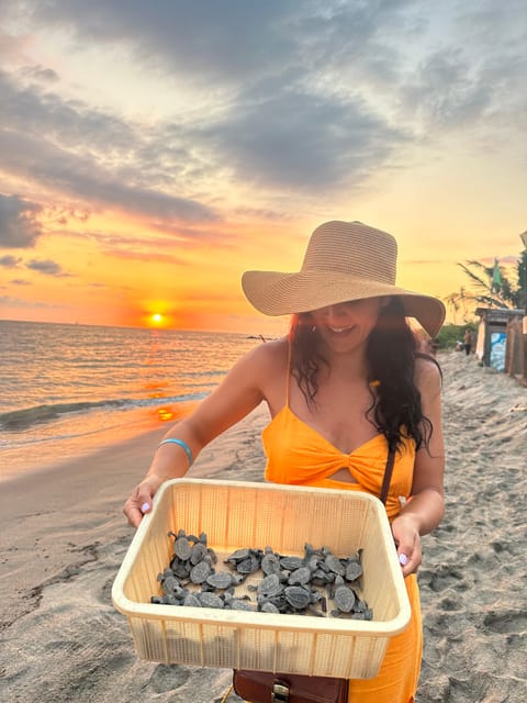 Puerto Vallarta: Baby Turtle Release in Conservation Area - Practical tips that make the evening easier