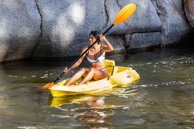 Puerto Vallarta Best Zipline Canopy + Tequila and Speed Boat Ride - Animal sanctuary moments: marmosets, coatimundi, boas, and more