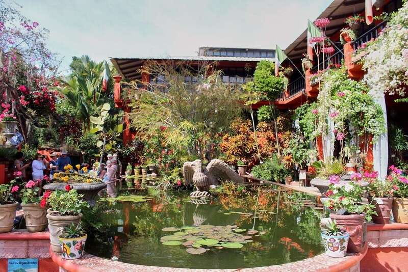 Puerto Vallarta: Botanical Gardens, Distillery & Coffee Tour - What makes the guide work so well on this tour