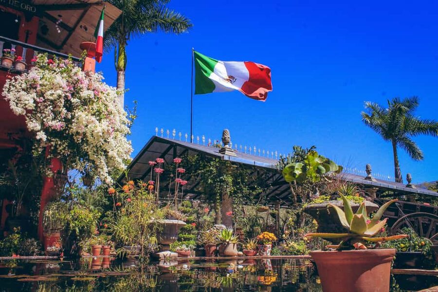 Puerto Vallarta: Botanical Gardens, Distillery & Coffee Tour - Organic coffee factory: short, sweet, and worth pacing your expectations