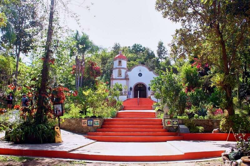 Puerto Vallarta: Botanical Gardens, Distillery & Coffee Tour - Orchids are the mission, not a decoration