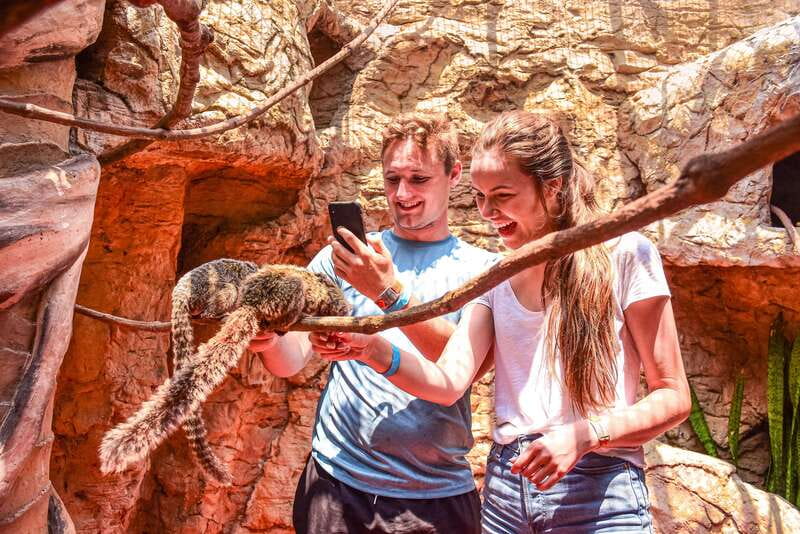 Puerto Vallarta: Canopy Tour with Zipline and Speedboat Ride - Animal House Stop: Rescued Species and Close Encounters
