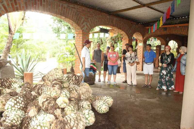 Puerto Vallarta: City Tour, Tequila and Coffee Factory Tour - Malecon stroll and panoramic viewpoints, why this start hits the right tone
