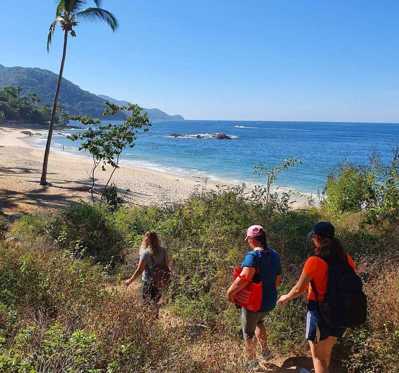 Puerto Vallarta: Full Day Hike to 6 Hidden Beaches & Snorkel - Snorkeling and Marine Life: What You Can Hope For, What to Plan For