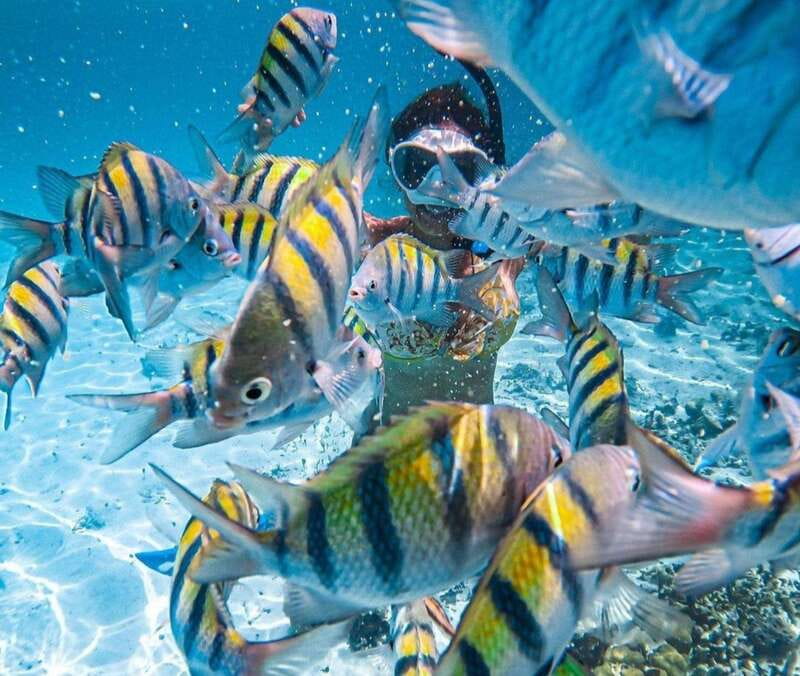 Puerto Vallarta: Los Arcos Islands Boat Tour and Snorkeling - Snorkeling at Los Arcos: gear, life vest fit, and how conditions change the view