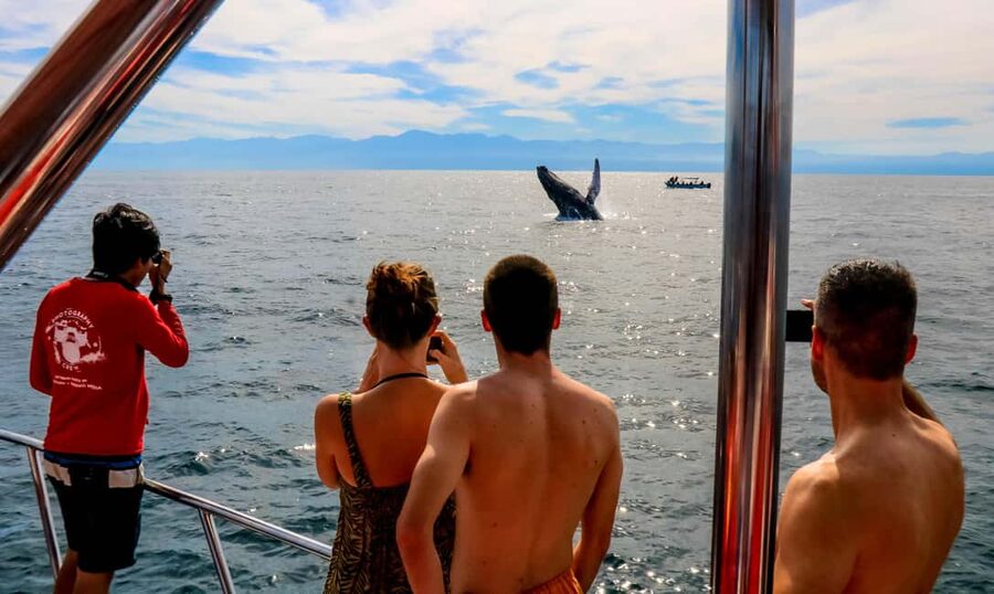 Puerto Vallarta: Mega Yacht Whale Watching Sunset Cruise - Why this Puerto Vallarta whale watching sunset cruise feels different