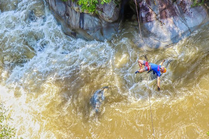 Puerto Vallarta, Original Canopy Tour Zipline (For Cruises) - Getting Suited Up: What the Zipline Course Really Feels Like
