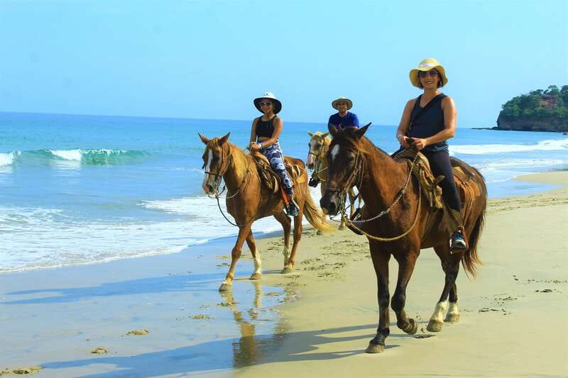 Punta de Mita/Sayulita: Horseback Riding Tour - Transportation and Timing: Plan for a Longer Day