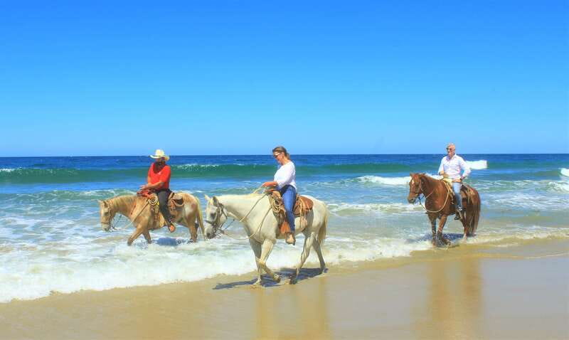 Punta de Mita/Sayulita: Horseback Riding Tour - Tequila Tasting With Nico: The Fun Finish After You Ride