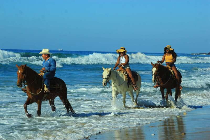 Punta de Mita/Sayulita: Horseback Riding Tour - Arriving at the Ranch: Animals, Safety Briefing, and Getting Matched